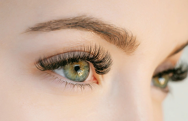 Lash Lift Image image